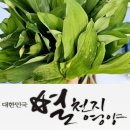 다들바위 치유농장 이미지