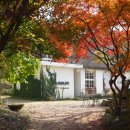 아미2길 이미지