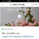 예그린세탁 이미지