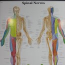 튼튼경희한의원 이미지