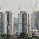 금빛세탁 이미지