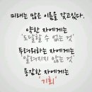 화랑태권도 이미지
