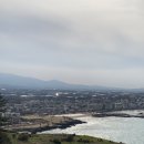 할랄레스토랑 라마다 | 3월초 제주 / 슬렁슬렁 먹고 즐긴 것들 (2/2)