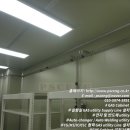 AUTO LINE 이미지