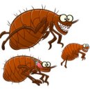 시창농장 네이버블로그