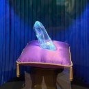 주식회사 블래스터 | 단지팸, 23년 도쿄여행 4박 5일 - 2. 셋째 날 &lt;도쿄 디즈니랜드&gt;