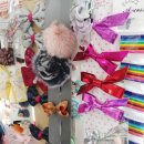 하나종합화장품 이미지