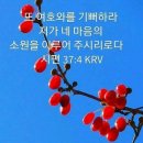 창화 이미지