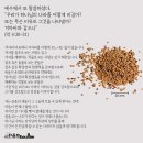 마가 이미지