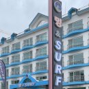 멍서프 펜션 엔 게스트하우스 | 강릉 애견펜션 가성비 강문해변숙소 멍엔서프 주말 더블룸 후기