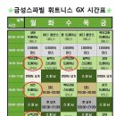 금성스파빌
