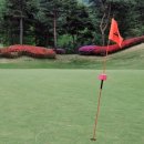 중원CC(대중제) 이미지