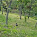 잠자리어린이공원 이미지