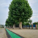 포곡초 놀이터 이미지