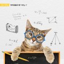 다솜고양이메디컬센터 이미지