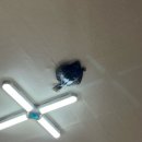 엄사면 엄사리 226 4 | 계룡 돌솥밥과 제육, 생선구이가 맛있는 큰 솔밭 후기