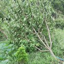 기우농장 이미지