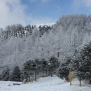 12월 7일(일)[남도명산] 지리산 서북능선( 세걸산,바래봉) 산행 안내 이미지