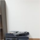 디에스코리아 이미지