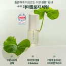 인셀덤신세계