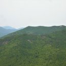 팔등 Daum카페