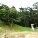 징효대사보인탑비 이미지