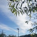 김포황토테마파크 이미지