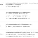 대치필리아약국 이미지