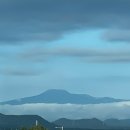 하도리 님과 함께 이미지