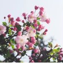 엘지마트 상당점