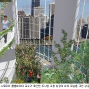 상관농장 이미지