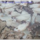 본전식당 이미지