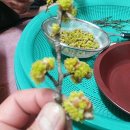 산적농장 이미지