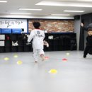 신장태권도장 | 성호태권도장, 아이가 즐겨요