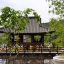 정자문화 이미지