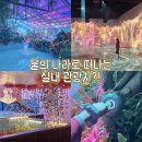 제주월드컵경기장 서귀포시실내암장 | 제주도 서귀포 가볼만한곳 아이랑 제주도 여행 실내 가볼만한곳