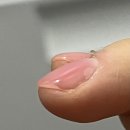 몬스터해물아구찜