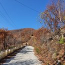 ^ 화악산 북봉/ 191027.일/ 1960