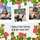 시립비둘기어린이집 이미지