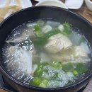 제주공항 고등어회 맛집 원담 / 웨이팅 및 내돈내산 솔직 후기