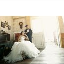 휴먼플러스 이미지