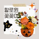 송원어린이집 | [안양 초등학교] 특수학급 대상 원예 수업 키트 납품 후기 &lt;할로윈 꽃꽂이&gt;