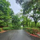 초안산 골프연습장 | 노원 인도어 초안산 골프연습장 프로골퍼 후기