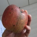 부사한의원 이미지