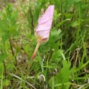 숲속송정농원 이미지