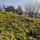 허준근린공원 이미지