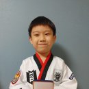 MVP합기도 이미지