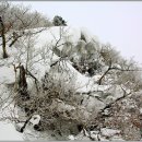 비엔나모텔 이미지