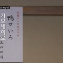 메밀카 네이버블로그