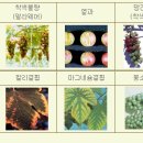 (주)한국그린환경 이미지